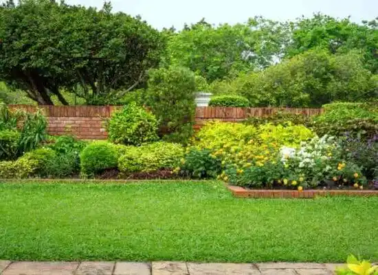 landscaping services Glorieta